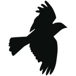 Reentry Success Group logo